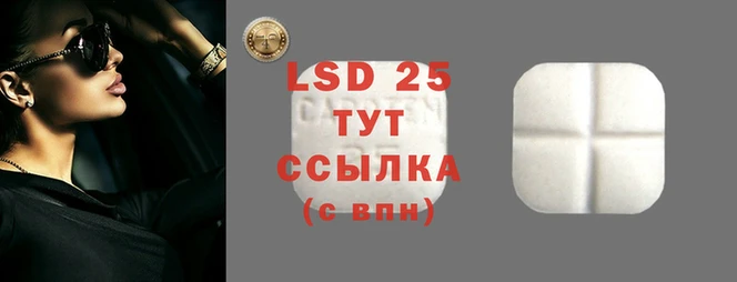 спиды Горняк