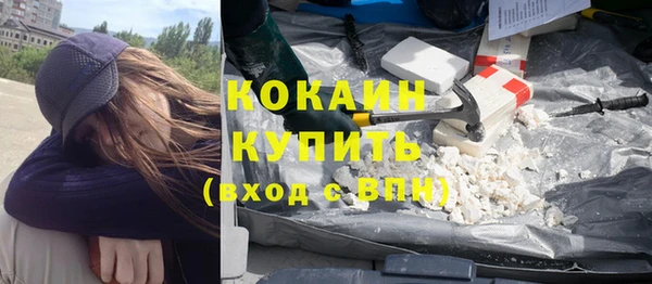 ГАЛЛЮЦИНОГЕННЫЕ ГРИБЫ Ельня