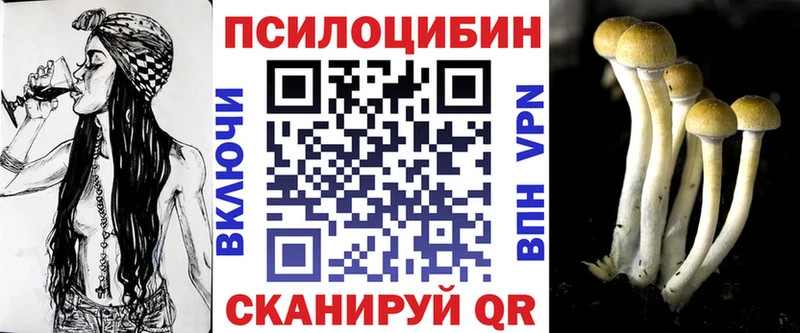 как найти закладки  Североуральск  Галлюциногенные грибы Magic Shrooms 